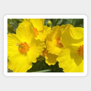 Radiant Yellow Flower Power Sticker